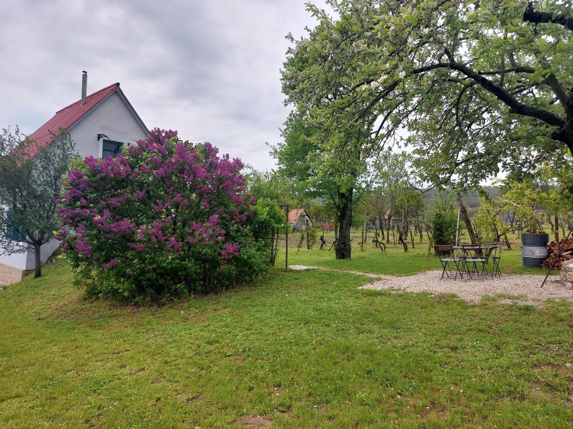Spaletta Holiday home